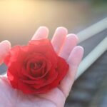 stop youth suicide, railway, red rose in hand-3663428.jpg